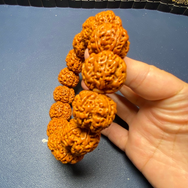 尼泊尔金刚菩提梅花爆肉（6号）