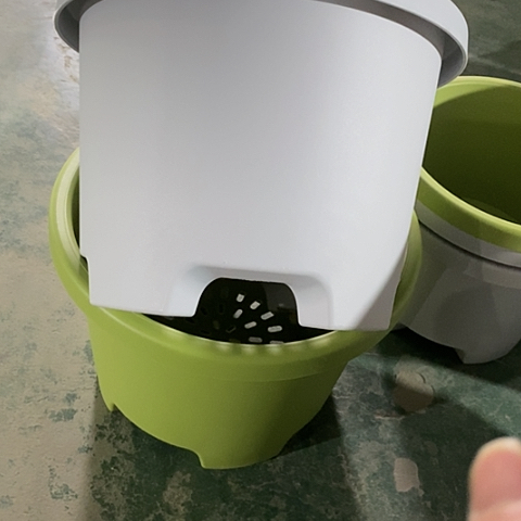 树脂球根32口径5个无托果绿