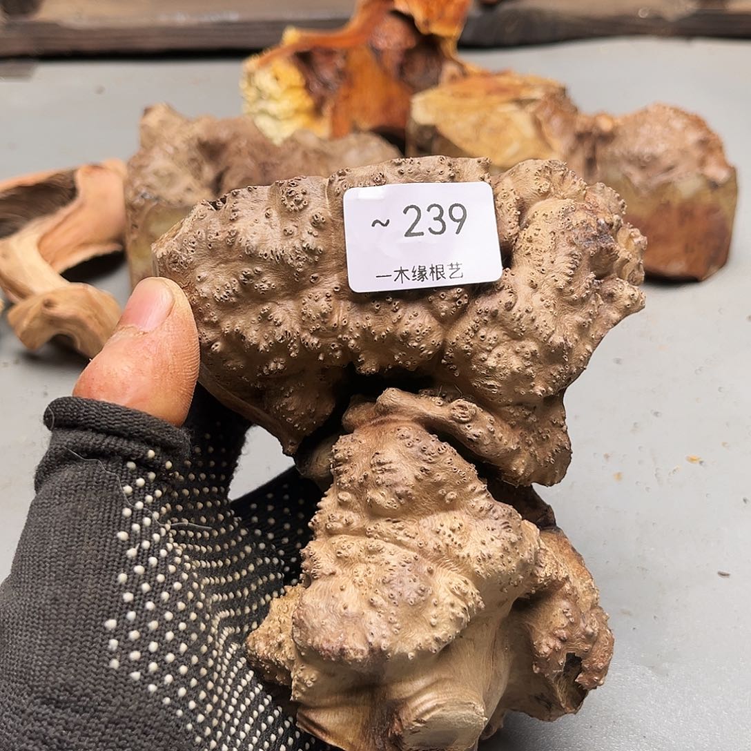 阿***坊无花朵000000000239