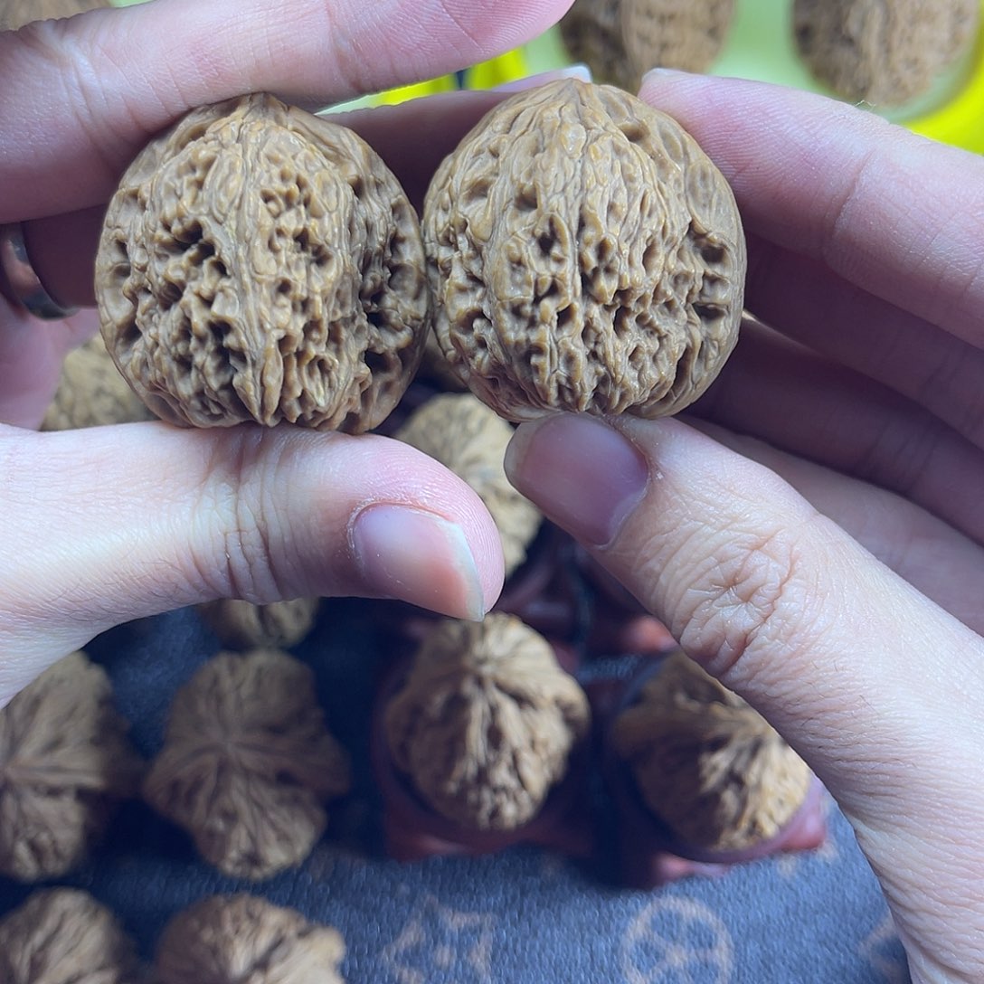 核桃精品南疆小对儿