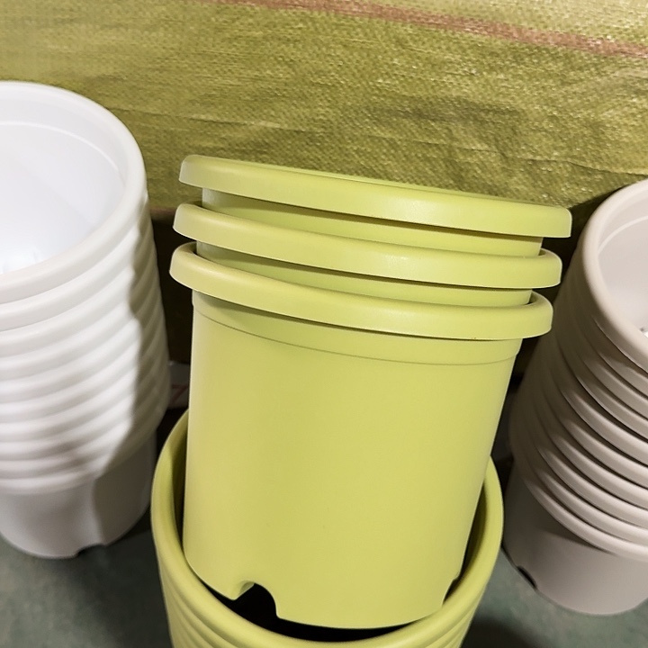 微瑕3#果绿10个无托