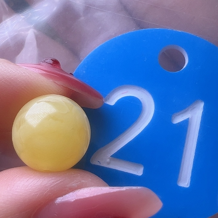 蜜蜡裸石未镶嵌11.5mm 鸡油黄 圆珠