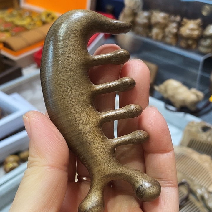 金丝楠jimagd、小叶桢楠