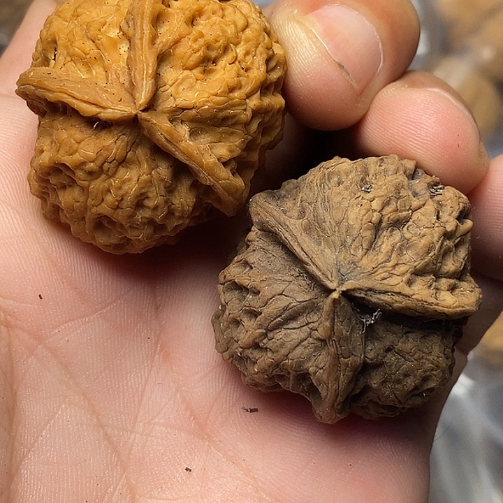 文玩核桃把件云南铁核桃35