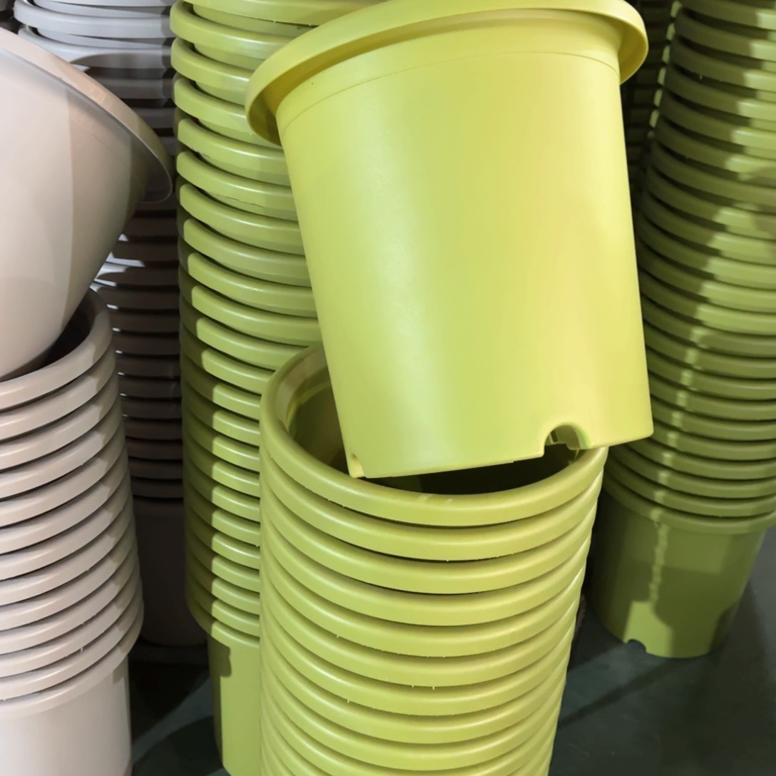 树脂特价7#无拖果绿6个