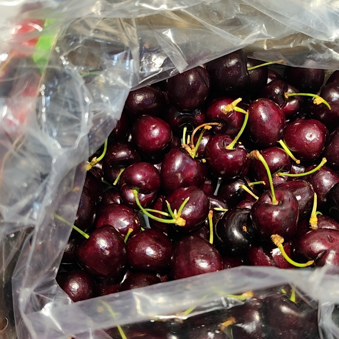 空运JJ桑缇娜车厘子 5斤装(桑缇娜是车厘子品种)