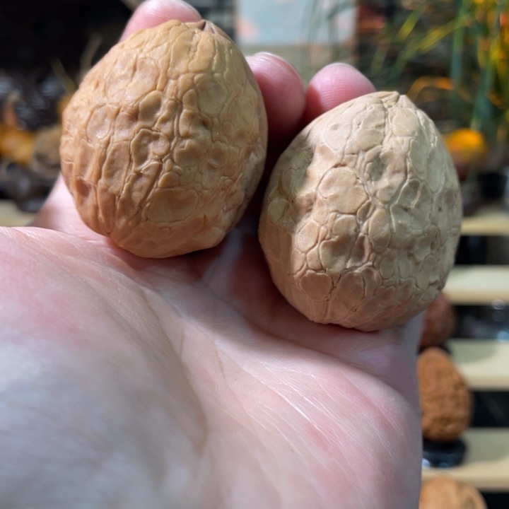 把件文玩核桃编号49