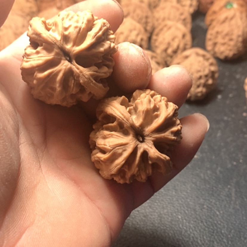 【闪购商品】雄*大古石