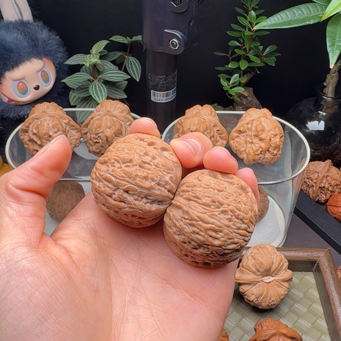 f***h龙脊菩提把件全品铁锤38