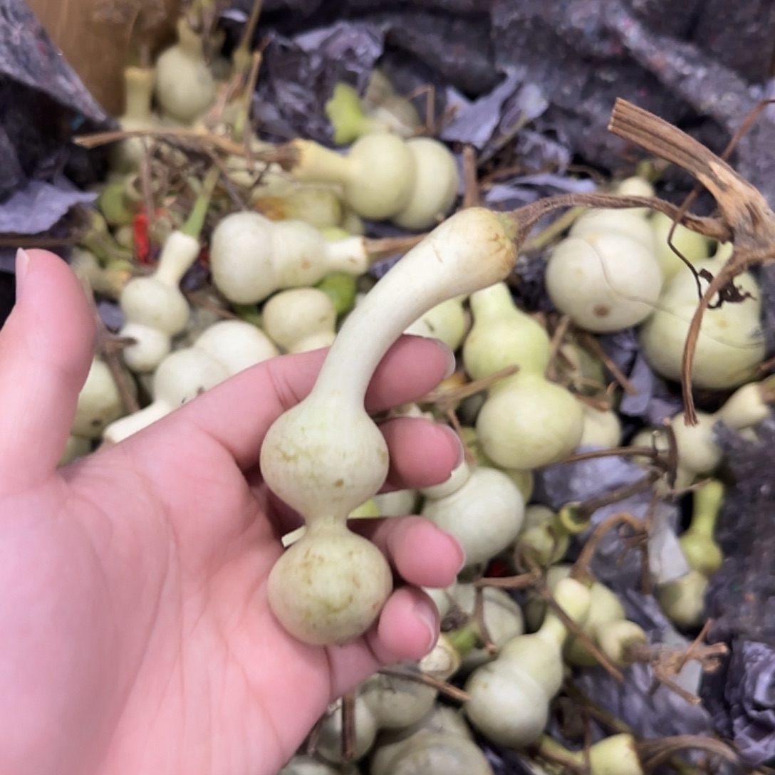 我***兄葫芦dndnsndndndnsn