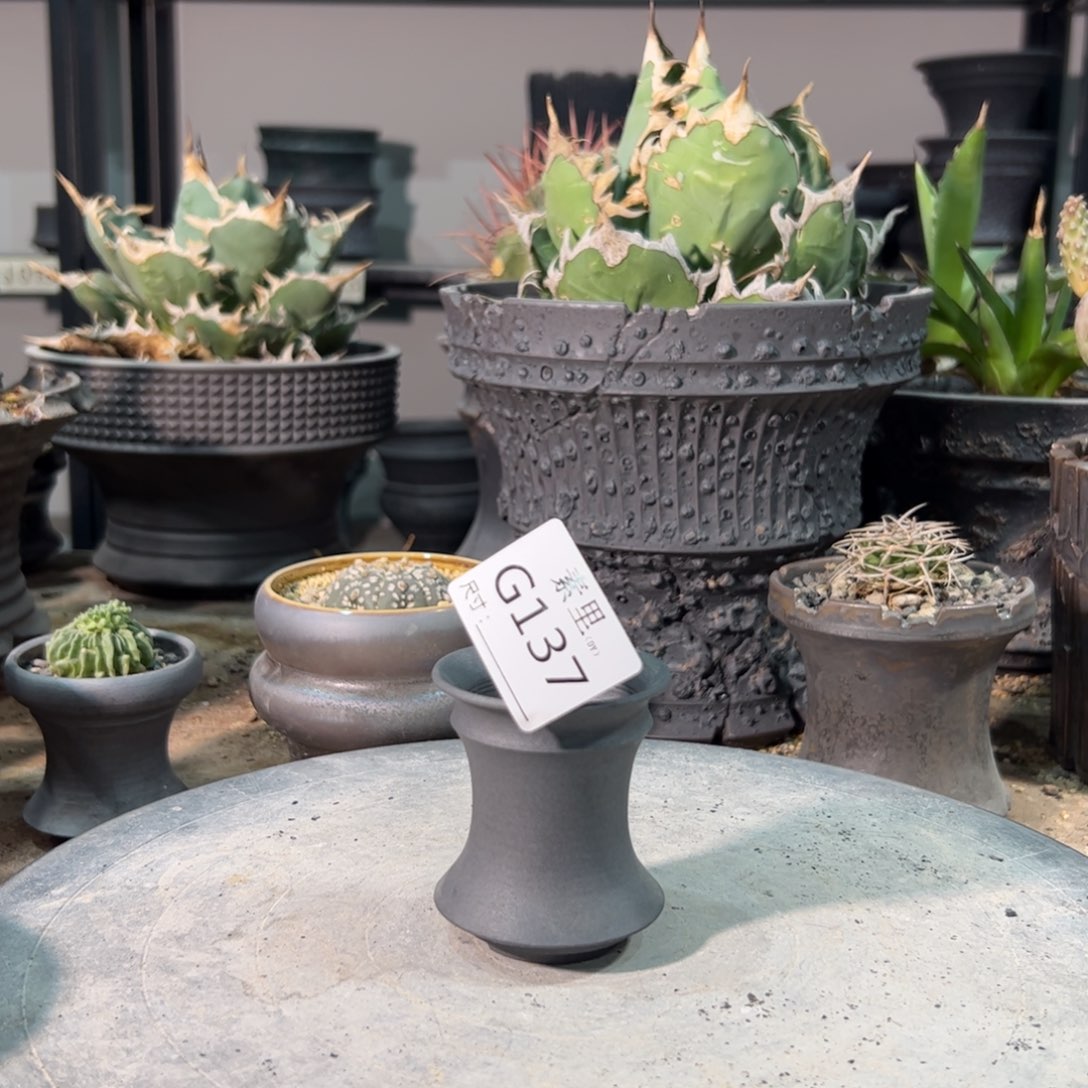 景德镇手工素里内口5高6.5