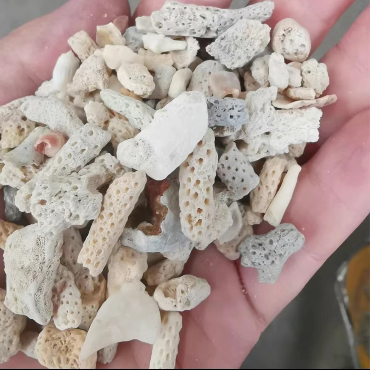 鱼池过滤材料鱼缸滤材天然海鲜池珊瑚砂