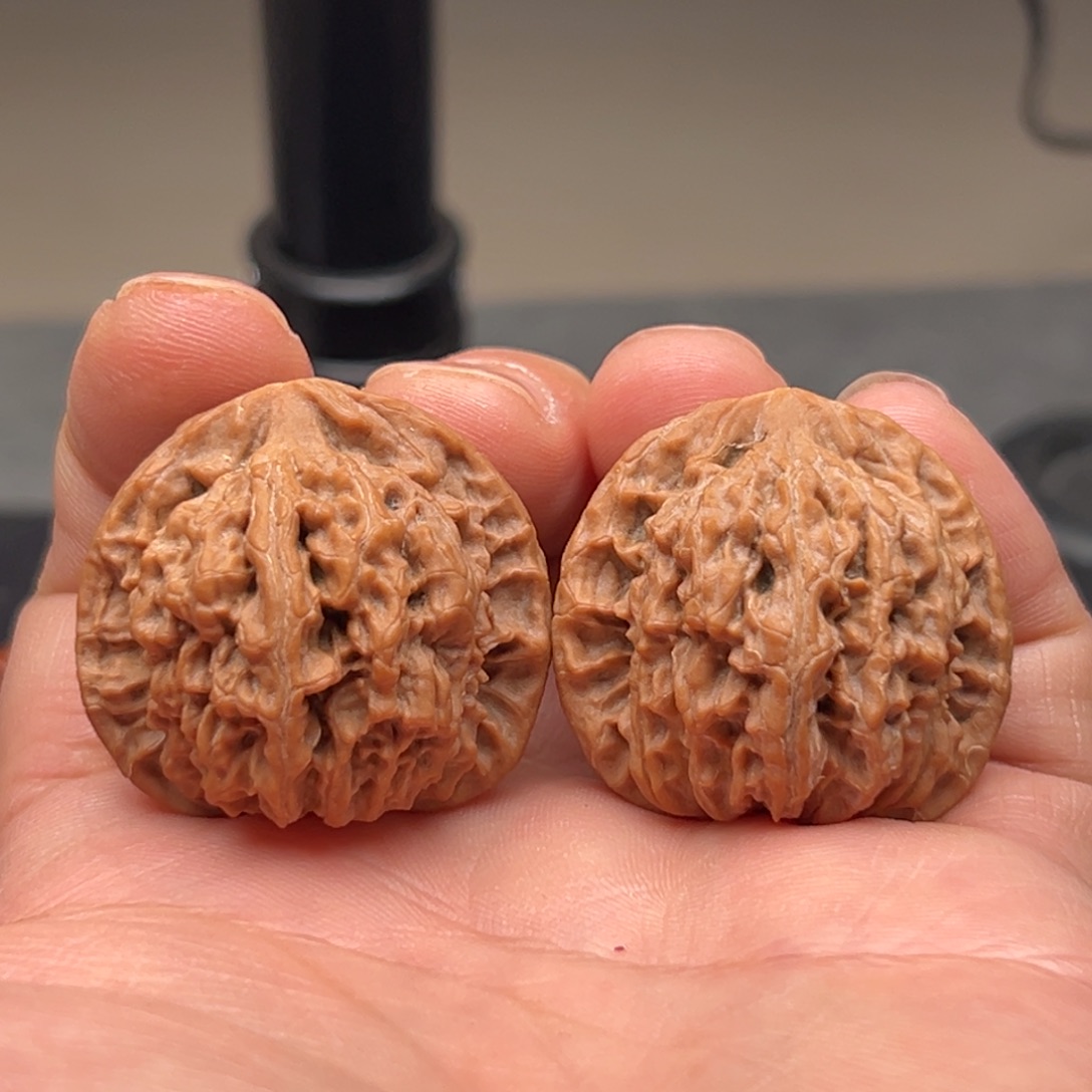 把件文玩核桃野生天地