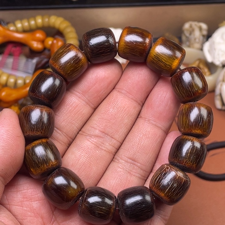 驼骨其他人工养殖