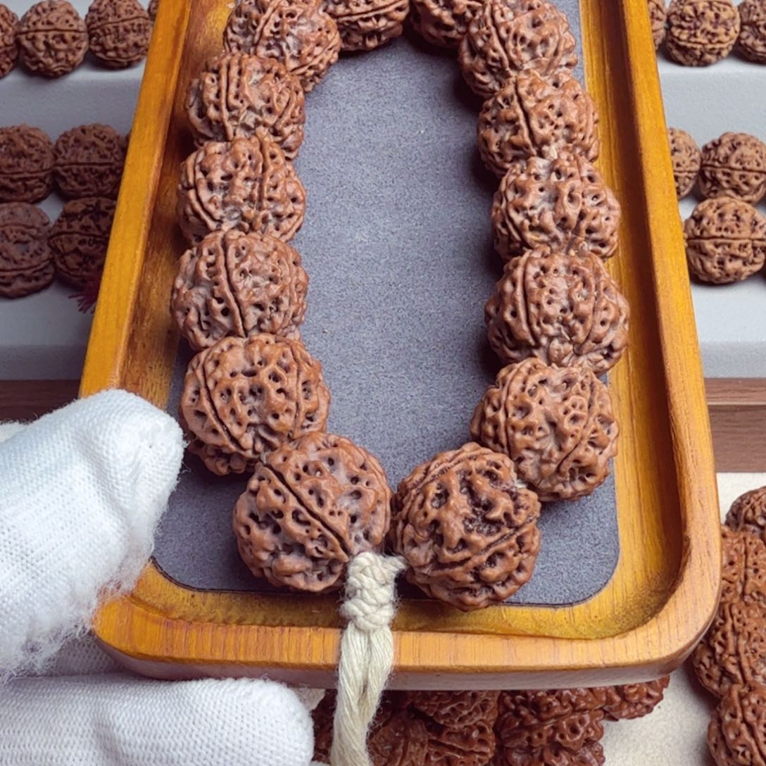 吊坠金刚菩提原生态安娜老籽五星蜂窝双龙订制22+姜黄