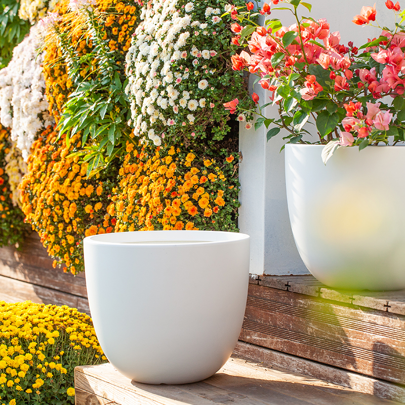 嘉伯瑞通用百搭花盆大口径星云盆家用加厚树脂盆户外耐用种植盆