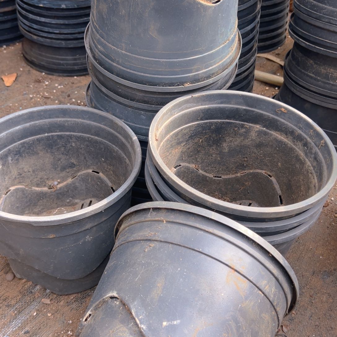 塑料硬花纹高加伦盆22.5口径19高 5个