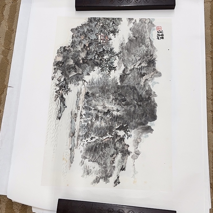 国画名*王花鸟的翅膀和羽毛的