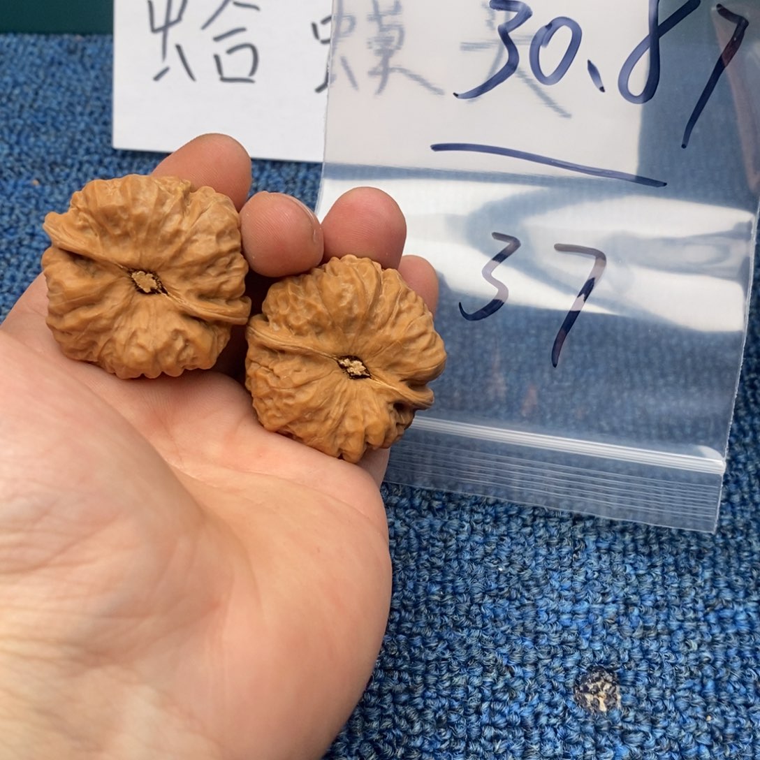 哈哈哈哈哈哈哈哈哈哈哈