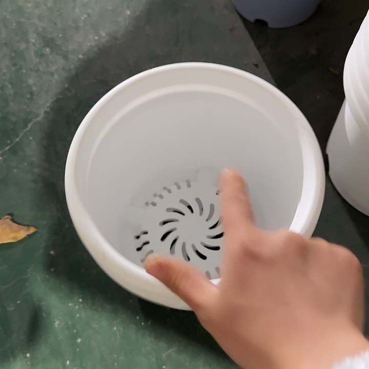 四季3号纯白无托10个特价