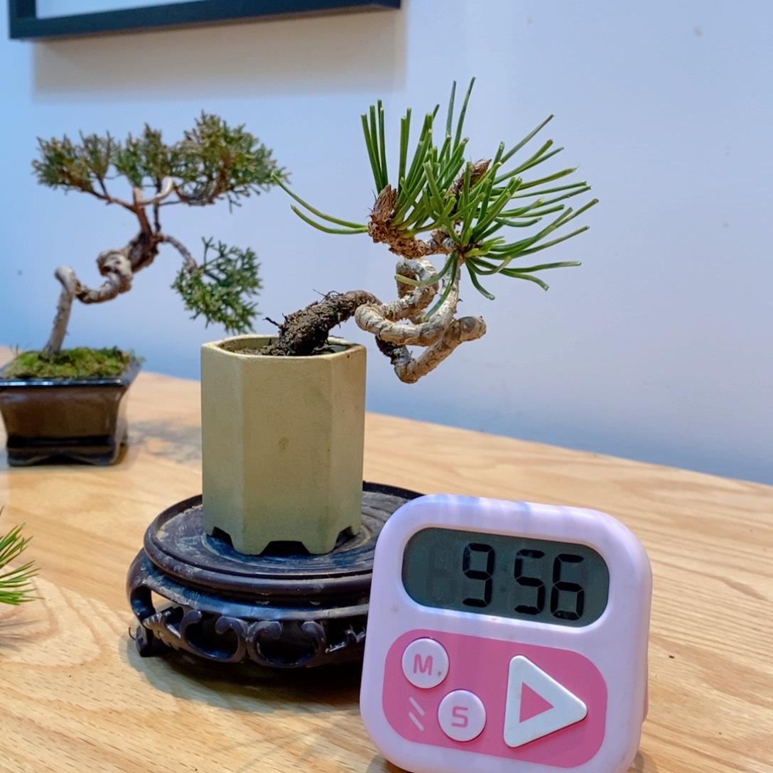 手工艺品琉璃全****强