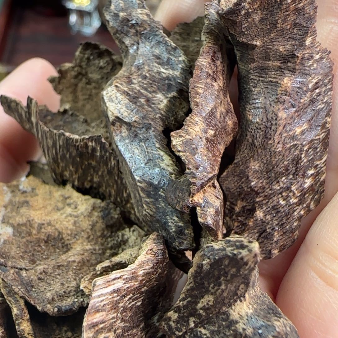 沉香碎屑沉香海南沉香鸡母虫5克