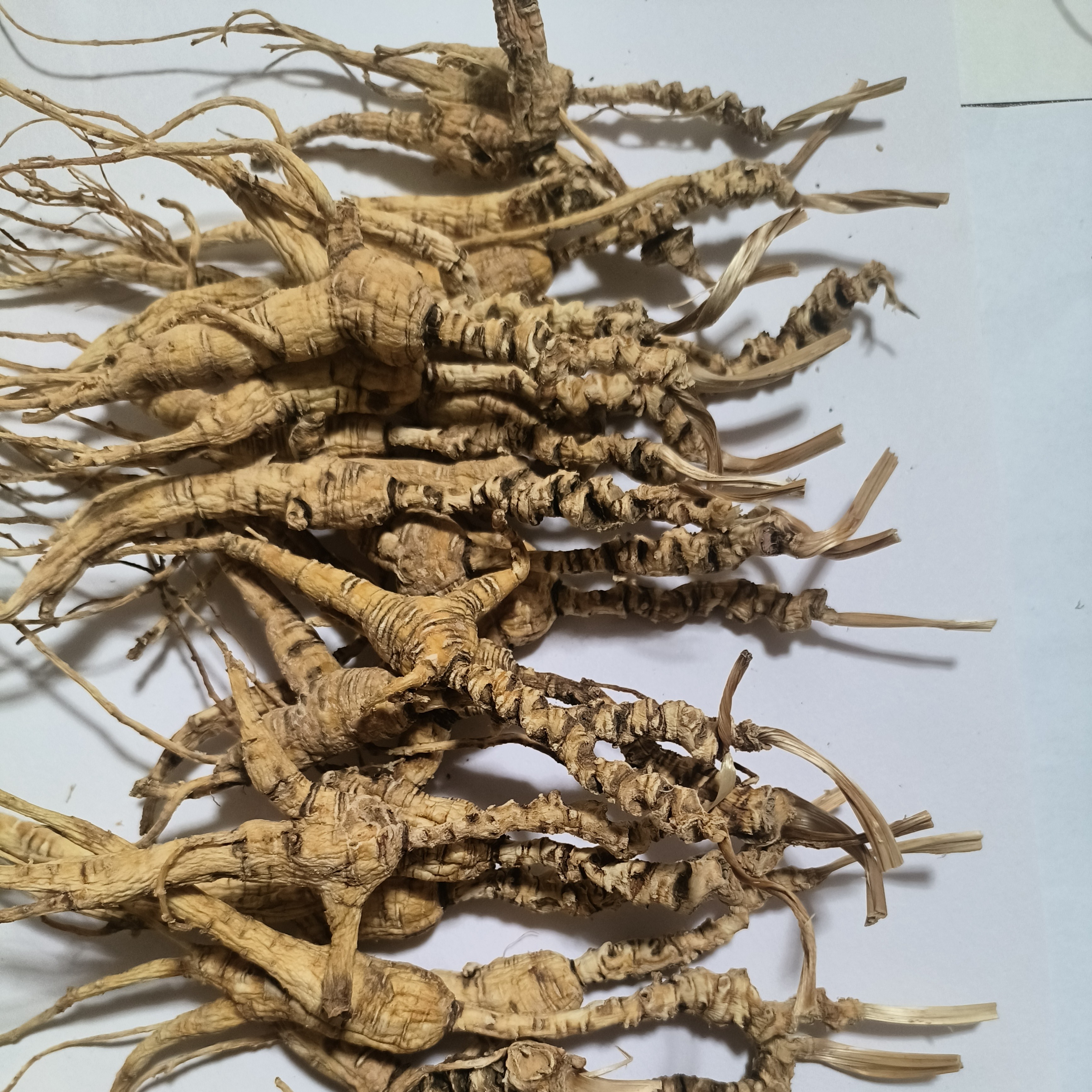 长白山野山参直播间改价链接