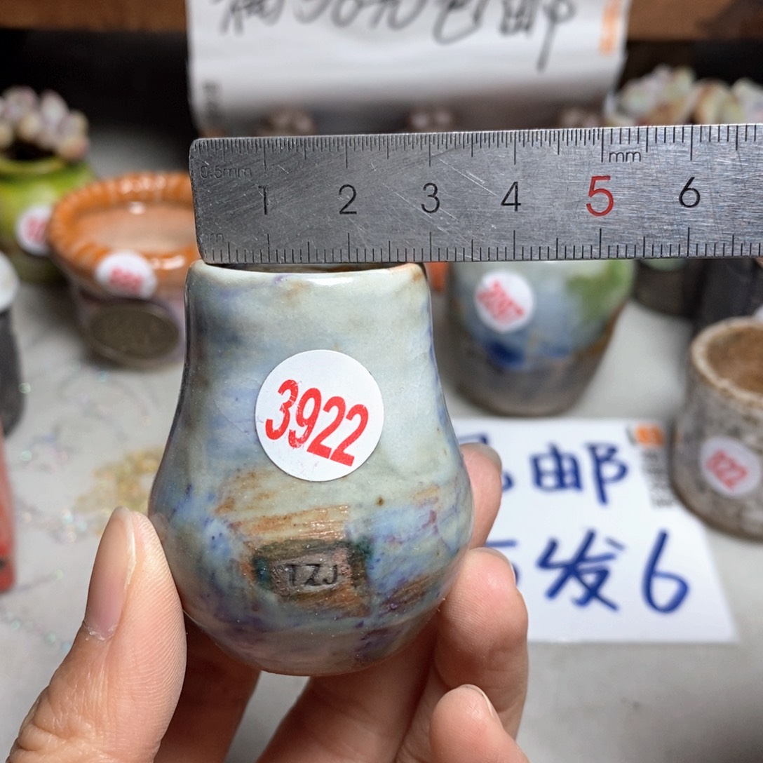 拍5送一个小礼物