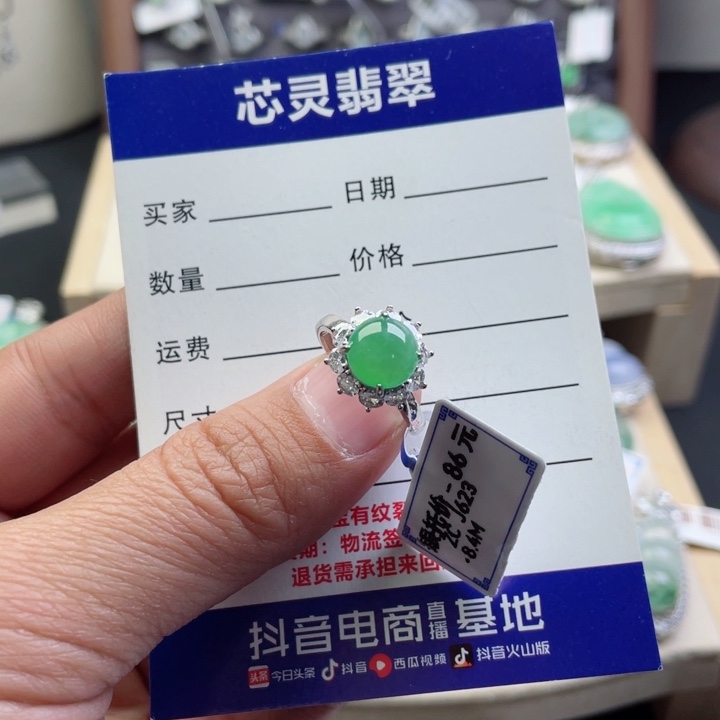 翡翠颈饰银S925镶嵌南**扬缅甸翡翠