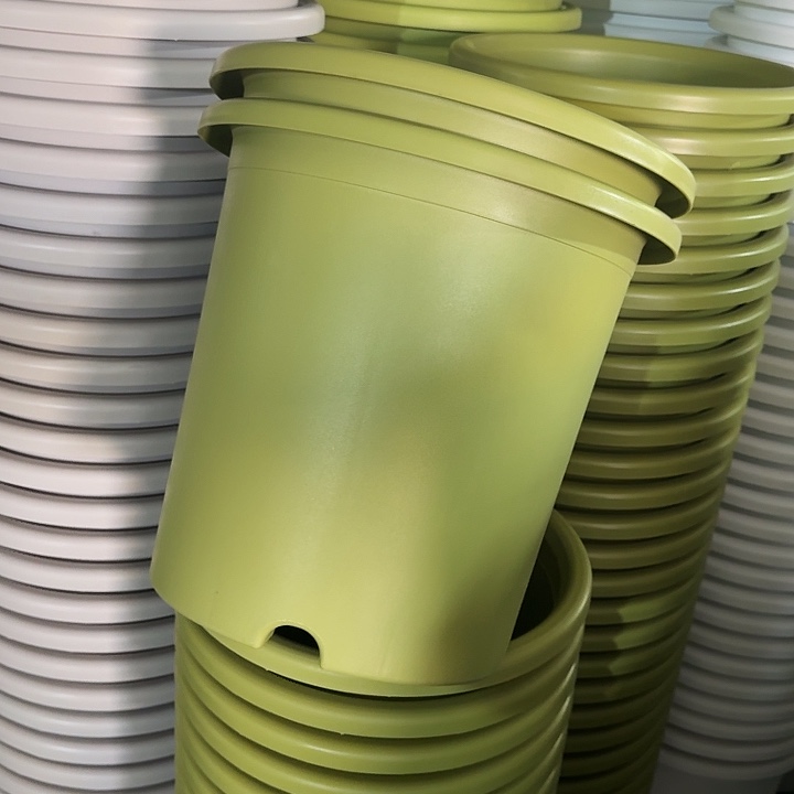 四季8#口径39果绿5个无托