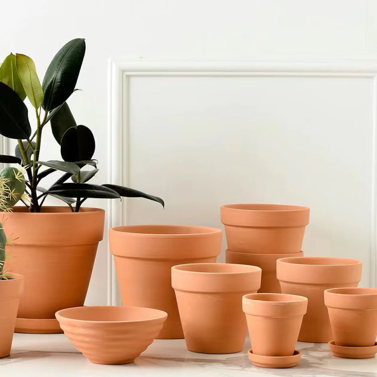 珊瑚奶嘴地毯海葵窝（一物一拍）