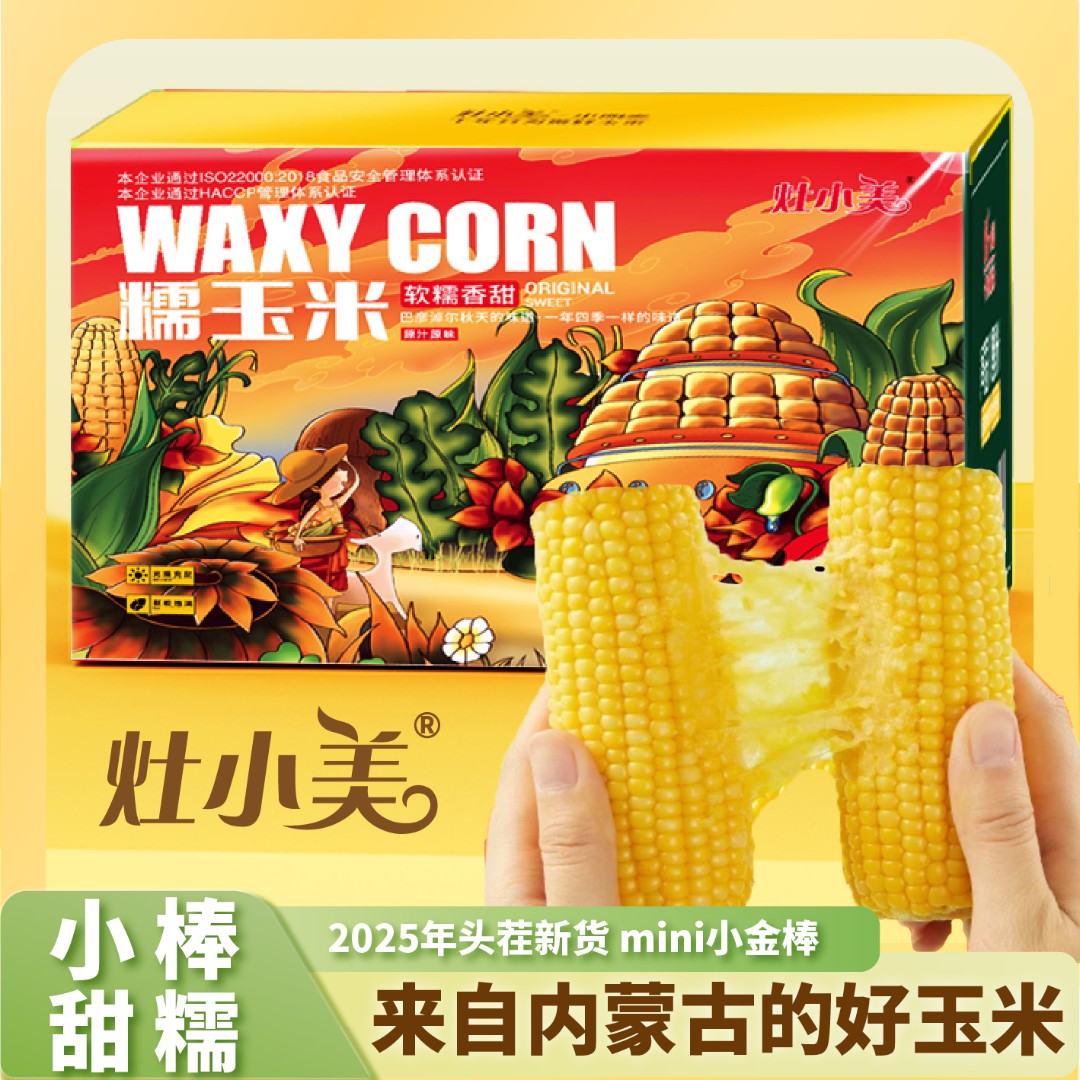 灶小美黄糯玉米小棒型甜糯 12根礼盒 甜口感营养早餐非转基因