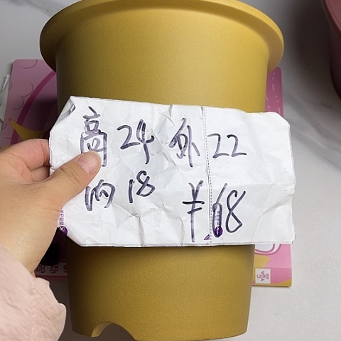 红陶紫砂22222222222