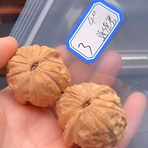 文玩核桃吊坠道*君龟甲纹