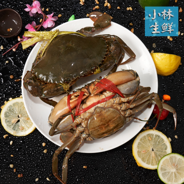 【巨划算实拍精品好评如潮小林生鲜】福建膏蟹红母鲟同城速达母蟹