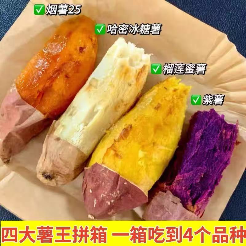 山东蜜薯四大薯王拼装榴莲蜜薯哈密冰糖薯烟薯25号紫薯新鲜番薯