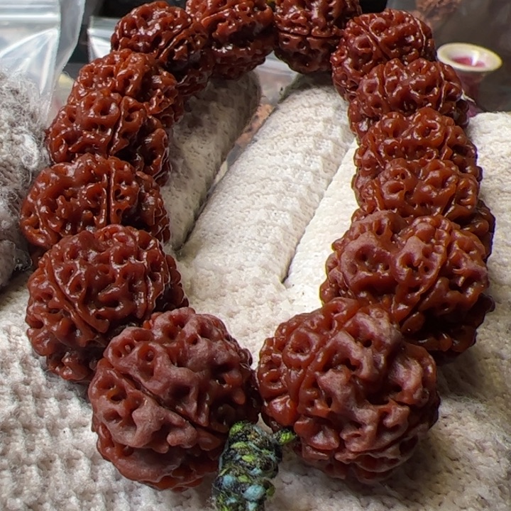 金刚菩提手串22➕大粗筋蜂窝双龙