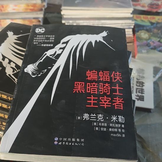 蝙蝠侠黑暗骑士主宰者。