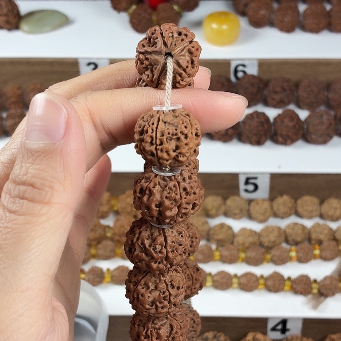 金刚菩提手串原生态精品5瓣纯血5星双龙