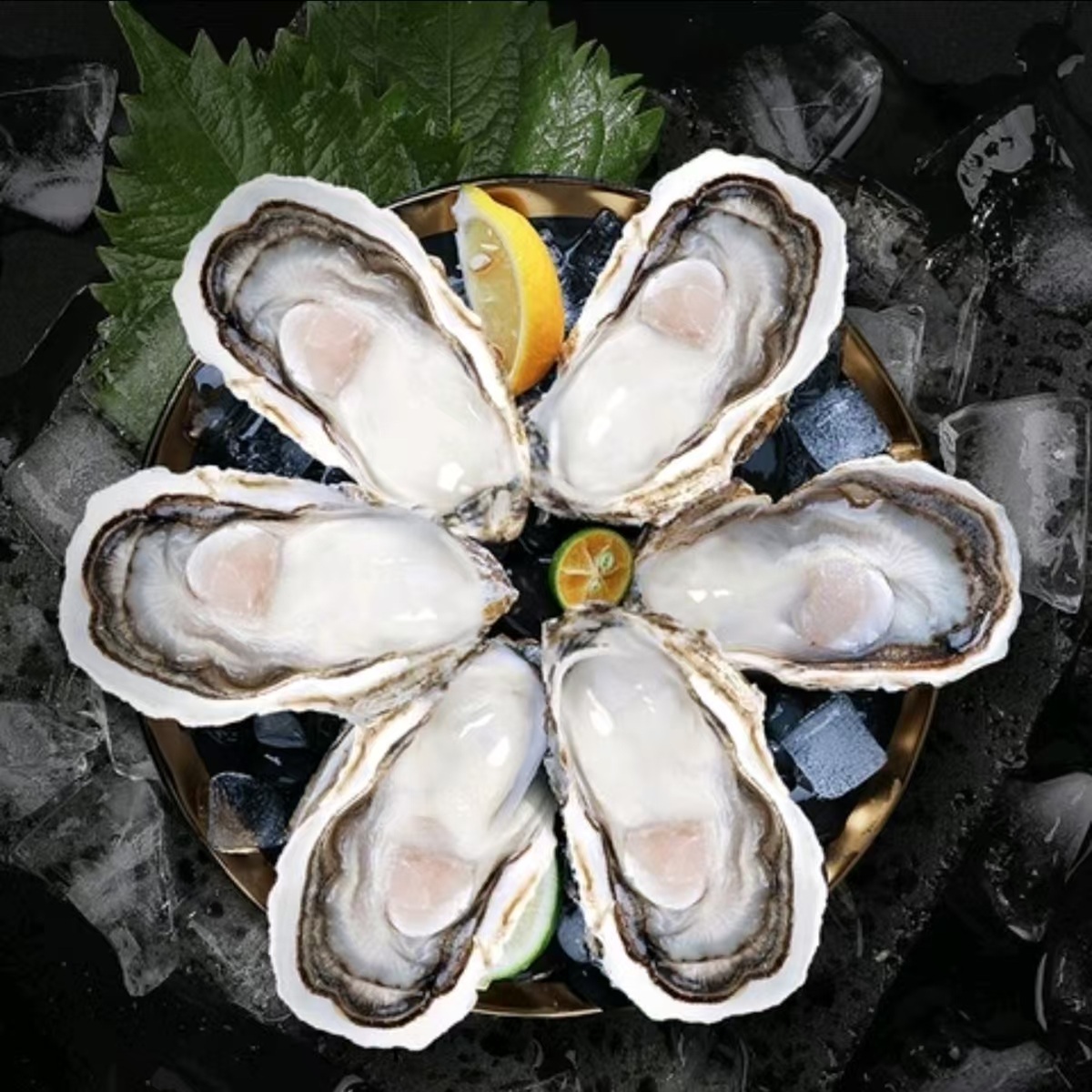 原浆半壳生蚝 1.8kg