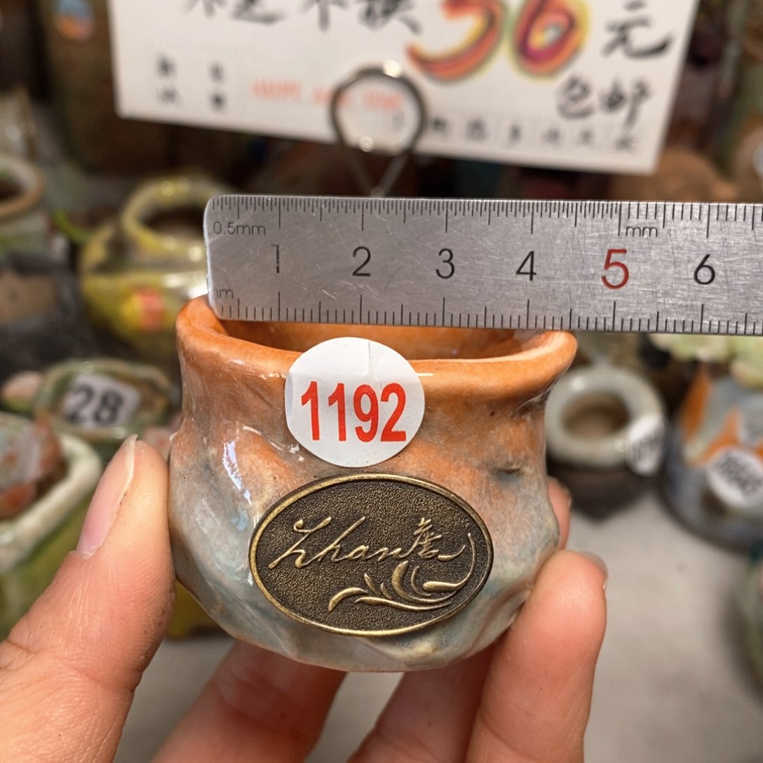 花盆拍5送一个小礼物