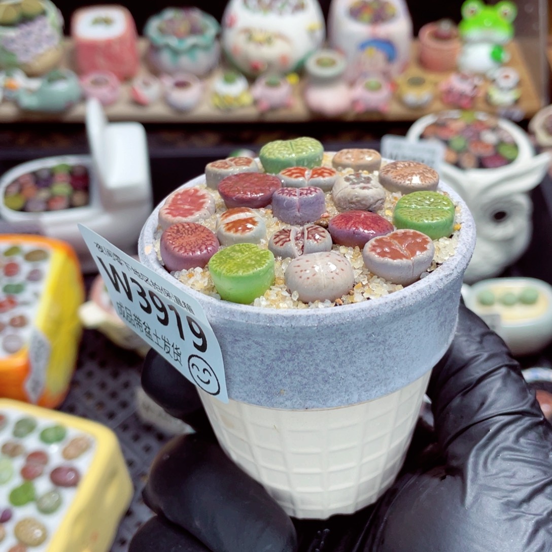 夜间零下地区拍保温箱w3919