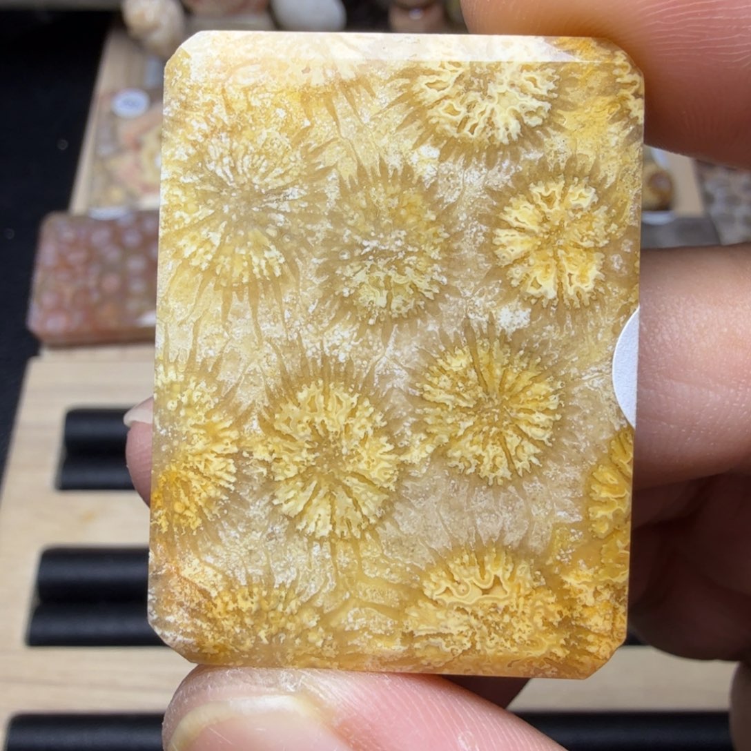 硅化玉未镶嵌纯天然色有机玉石保真色