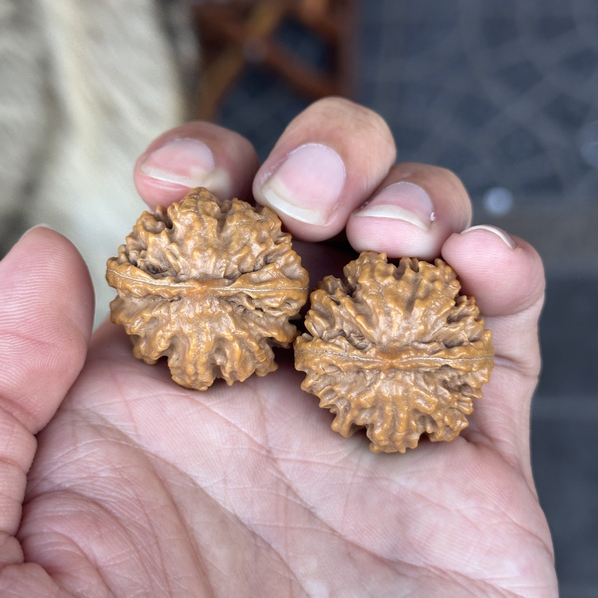 大林子元旦破价福利 B578  野生京八棱手捻 尺寸27左右