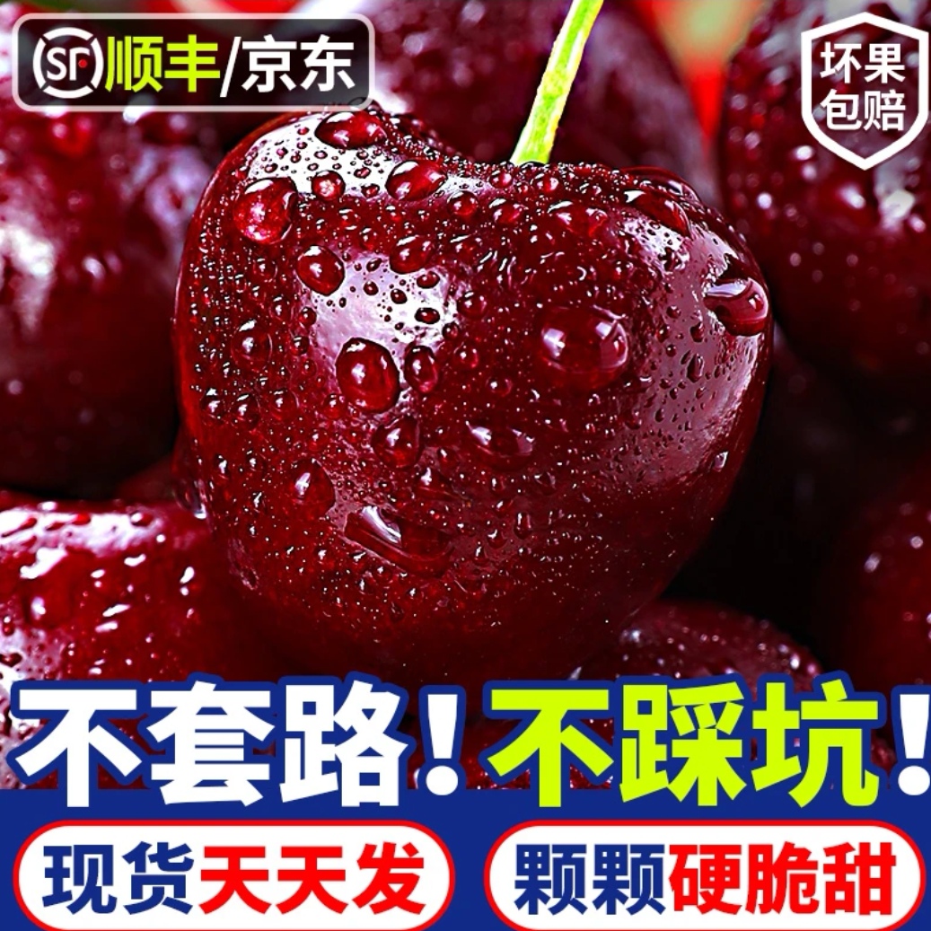 【空运蓝天白云都乐】2JD/3JD 智利空运桑提娜车厘子 内附果径卡