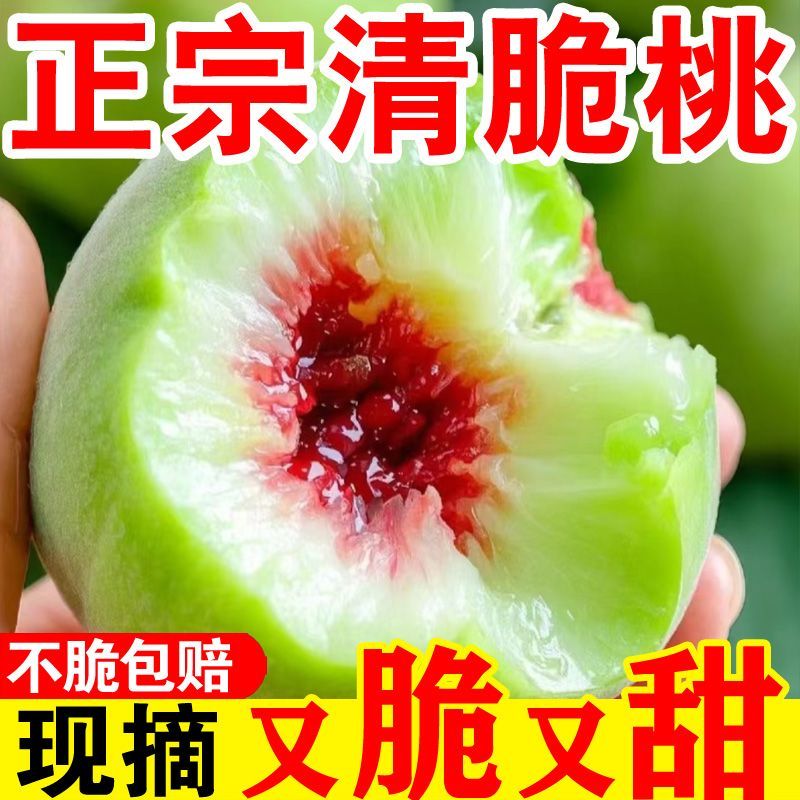 [离核纯甜]平谷脆蜜青 青桃脆甜北京市