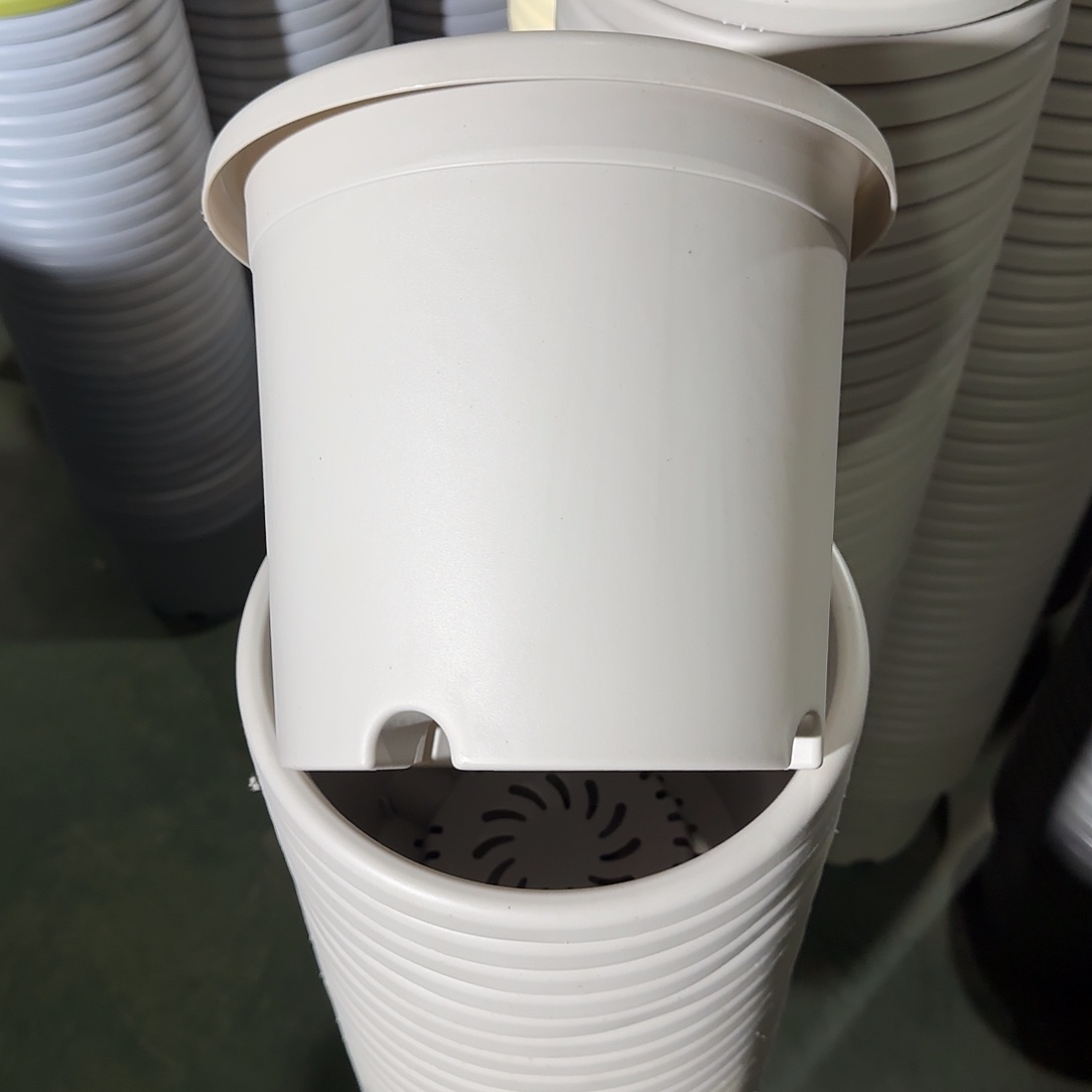 树脂微瑕4号8个无托，灰白