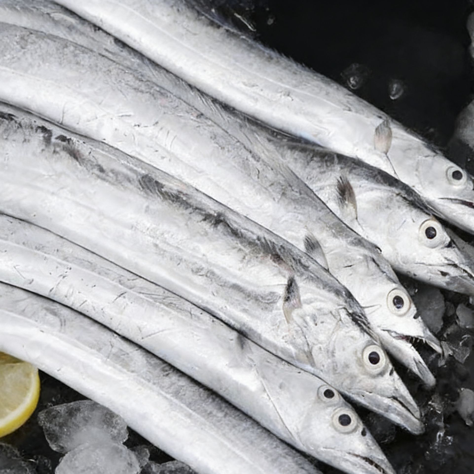 lc舟山直发新鲜舟山油带小眼睛带鱼整条发货可蒸制
