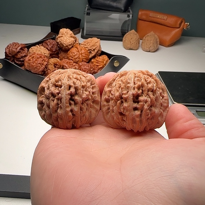 41-40-36一代铁楼B10号