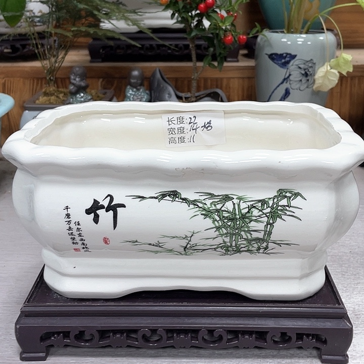 花盆抢购福利多多